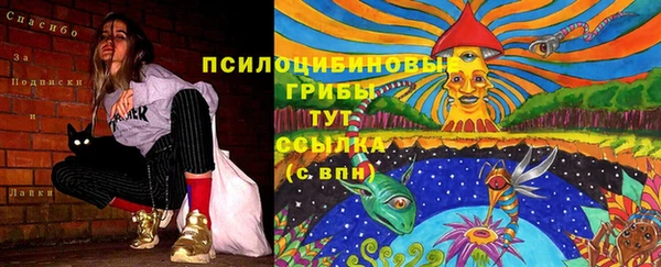 соль курить ск Михайлов
