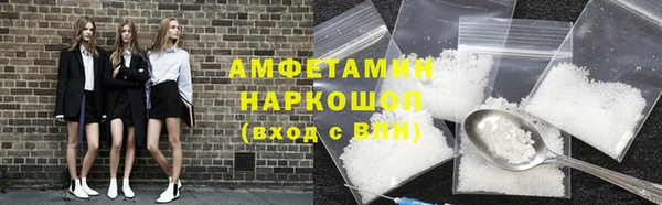 индика Мегион