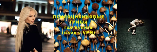 соль курить ск Михайлов