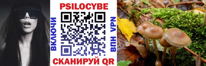 blacksprut рабочий сайт  Красногорск  Псилоцибиновые грибы Magic Shrooms 