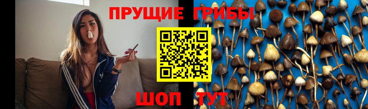 Галлюциногенные грибы GOLDEN TEACHER  Вход с VPN  Красногорск  Галлюциногенные грибы ЛСД 