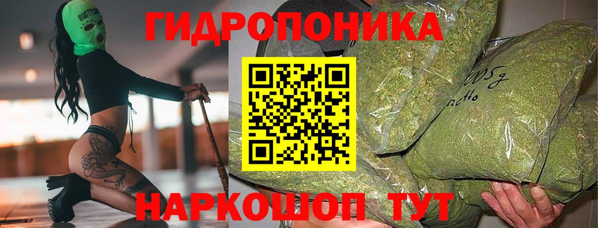 Шишки марихуана OG Kush  МАРИХУАНА тримм  Красногорск  Вход с VPN  Марихуана семена  Марихуана семена 